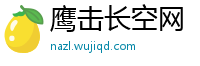 鹰击长空网